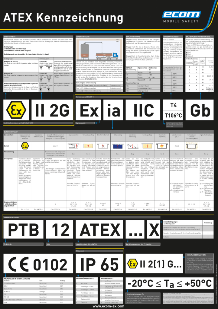 Poster Explosionsschutz Ecom